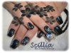 050911 - Scillia.jpg