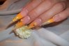 100_1454.jpg