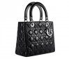 sac dior lady.jpg