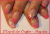 IMG_5252.jpg