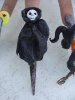 DSC02296.jpg