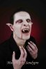vampire 2 copie.jpg