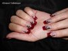 DSC00263.jpg
