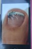 ONGLES 109.jpg