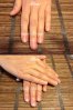 shellac french.jpg
