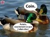 drole.jpg