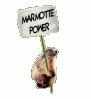 marmotte_power.gif
