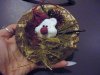 DSC03908.jpg