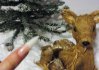 DSC03911.jpg