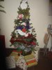 DSC04497.jpg