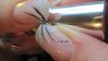 ongle marqué3.jpg