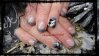 ongles 30 décembre 2011 004.jpg