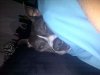 Nice-20111203-00134.jpg