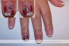 031 Nathalie D. fleurs peinture rouge.jpg