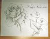 Dessins.jpg