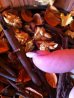 image-3835299581.jpg