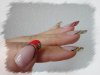 DSC04019.jpg