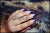DSC00576blog.jpg