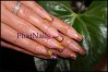 DSC00508blog.jpg