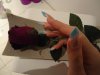 DSC01116.jpg