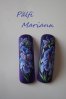 DSC01385.jpg