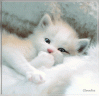 100925072100229730.gif