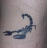 tatouage scorpion.jpg