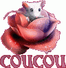 coucou.gif