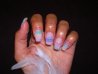 DSCN0504.jpg