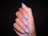 DSCN0512.jpg