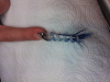 ForumRunner_20120213_221606.png