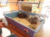 013.jpg