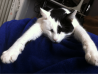 image-3992573368.png