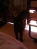 image-815024245.jpg