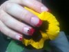 IMG-20120216-00144.jpg