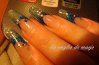DSC03872.jpg
