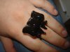 DSC07476.jpg