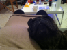 image-3951064668.png
