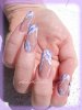 DSC05329.jpg