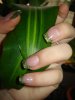 DSC07494.jpg
