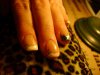 DSC01231.jpg