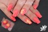 Corail et 3d.jpg