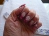 P1030869.jpg