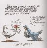 poule.jpg