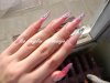 DSC03952.jpg