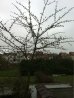 image-873737037.jpg