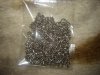 DSC07642.JPG