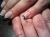 2012-04-13 17.46.22.jpg