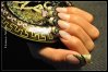 Venus-Nails.jpg