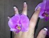 ongles 1 - copie.jpg